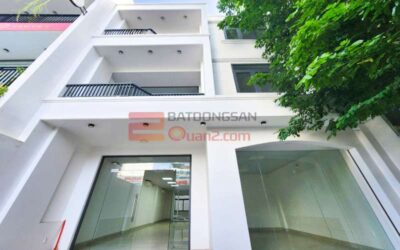 Cho thue nha phu hop lam van phong phuong An Khanh Quan 2 batdongsanquan2com